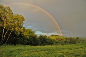 arcobaleno, alberi, verde, nuvole, prato, erba, due, cielo, piante