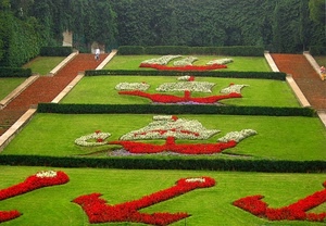 aiuole, fiori, verde, rosso, erba, prato, ancore, aiuola, scale, caravelle, giardino, ancora