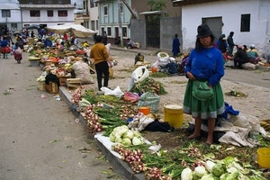 mercato, verdure, donna, persone, cappello, cipolle, strada, colori