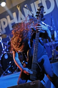 musicista, capelli, chitarra, musica, mani, concerto, uomo, suonare, strumento
