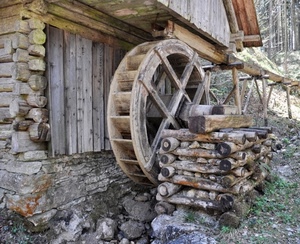ruota, mulino, legno, montagna, catasta, casa, sassi, erba, alberi, bosco, tronchi, finestra, legna, marrone