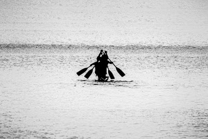 mare, remi, barca, bianconero, acqua, silhouette, quattro, controluce, onde, canoa, sport, imbarcazione, remare, rematori